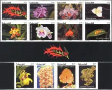 Orqu&iacute;deas de Colombia. (20/11/2009)