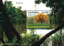 2011 Año Internacional de los Bosques. (31/08/2011)
