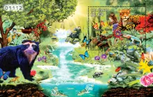 A&ntilde;o Internacional de la Diversidad Biol&oacute;gica. (11/04/2011)