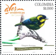 Aves End&eacute;micas de Colombia. (23/01/2018)