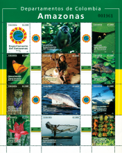 Departamentos de Colombia Amazonas. (20/07/2008)