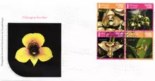 Sobre de primer día #1 Orquídeas de Colombia 3ra serie