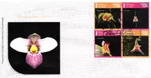Sobre de primer día #2 Orquídeas de Cololmbia 3ra serie