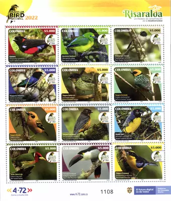 3 de 2022. Risaralda Bird Festival 2022. (17/03/2022)