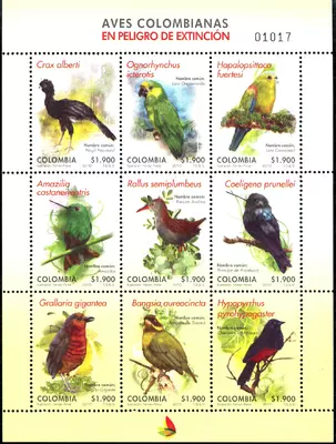 5 de 2010. Aves colombianas en peligro de extinci&oacute;n. (06/04/2010)