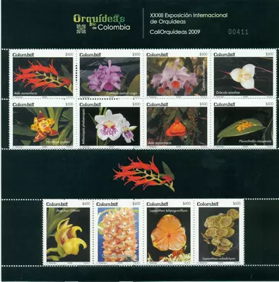 15 de 2009. Orqu&iacute;deas de Colombia. (20/11/2009)