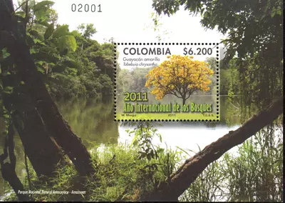 10 de 2011. 2011 A&ntilde;o Internacional de los Bosques. (31/08/2011)