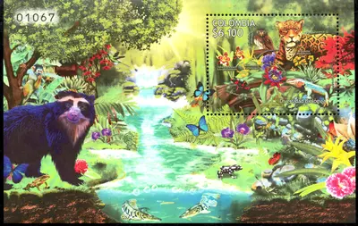 4 de 2011. A&ntilde;o Internacional de la Diversidad Biol&oacute;gica. (11/04/2011)