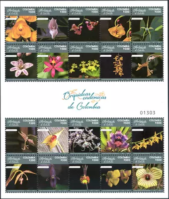 15 de 2018. Orqu&iacute;deas End&eacute;micas de Colombia. (9/08/2018)