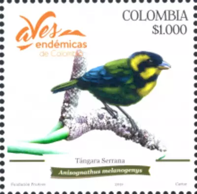 1 de 2018. Aves End&eacute;micas de Colombia. (23/01/2018)