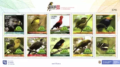 4 de 2020. Risaralda un modelo de conservaci&oacute;n de la biodiversidad. (20/03/2020)