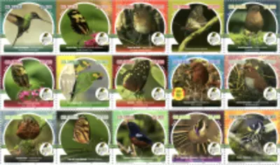 9 de 2021. Risaralda un modelo de conservaci&oacute;n de la biodiversidad, Risaralda Bird Festival 2021. (12/07/2021)