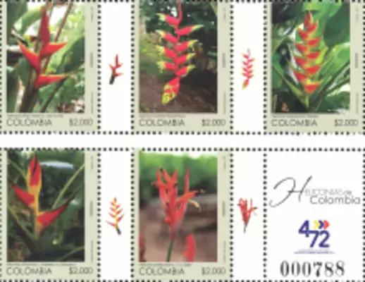 Heliconias de Colombia. (14/08/2009)