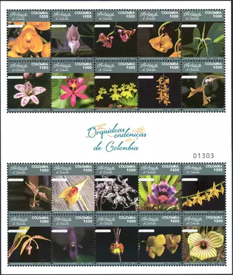 Orquídeas Endémicas de Colombia. (9/08/2018)
