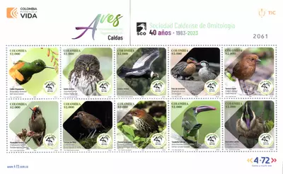 8 de 2023. Aves representativas del Departamento de Caldas. (9/11/2023)