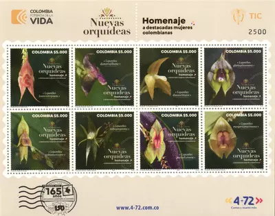 1 de 2024. Nuevas Orquídeas del Parque Nacional Natural Farallones de Cali homenaje a destacadas mujeres colombianas. (08/03/2024)