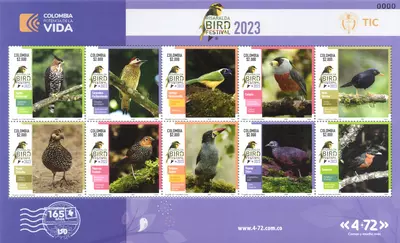 2 de 2024. Risaralda Bird Festival 2023. (21/03/2024)