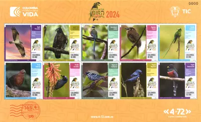 3 de 2024. Risaralda Bird Festival 2024. (21/03/2024)
