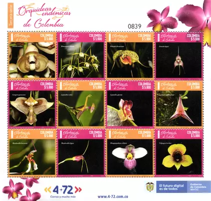23 de 2022. Tercera serie Orquídeas endémicas de Colombia. (01/11/2022)
