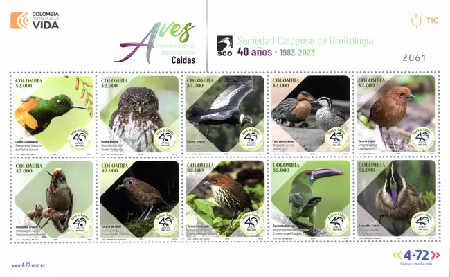 8 de 2023. Aves representativas del Departamento de Caldas. (9/11/2023)