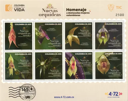 1 de 2024. Nuevas Orqu&iacute;deas del Parque Nacional Natural Farallones de Cali homenaje a destacadas mujeres colombianas. (08/03/2024)